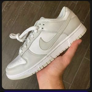 COPY - Nike Photon dunks